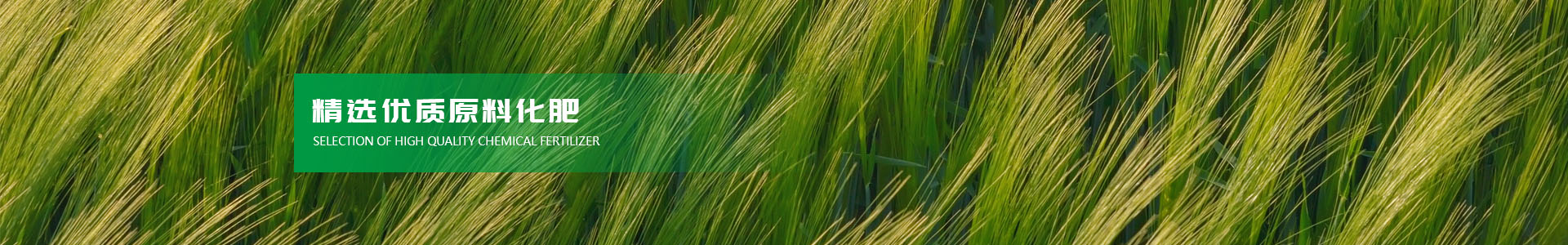 河南盛豐肥業科技有限公司【官網】